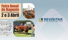 Feira do Gado em Bagunte, uma iniciativa secular.