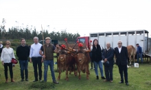 Feira Anual Bagunte contou com a presença de 30 criadores e 70 animais a concurso