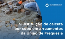 Substituição de calceta por cubo em várias ruas da União de Freguesia