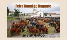Feira Anual de Bagunte